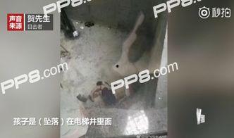 尿特集在线视频,深度解析尿液检测的奥秘与技巧