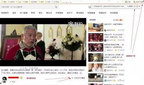 羽田爱在线视频下载