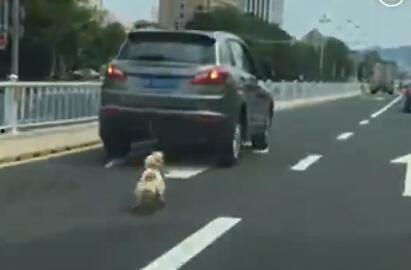 拴在线视频,揭秘网络直播的魔力与挑战